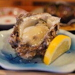 こい勢 - 岩牡蠣