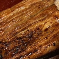 宮川本廛 赤坂宮川 - うな重