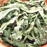 インカント - ルーコラとパルミジャーノ・レッジャーノ、バルサミコのサラダ。