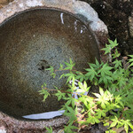 染地台 藪蕎麦 - 筑波石。