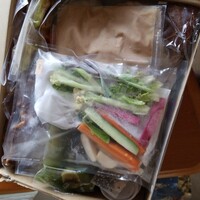 ル スプートニク - 