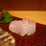 こころや - スズキ