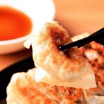 Fried Gyoza / Dumpling