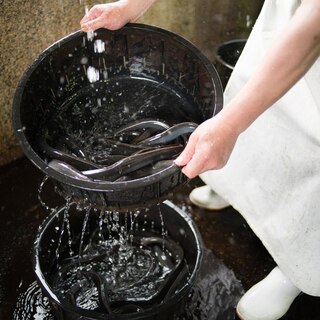 【国産うなぎ】契約産地にもこだわり