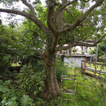 カフェ・ラ・ファミーユ - 