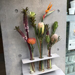 HiO ICE CREAM Atelier 自由が丘 - 店頭、花なんか飾っちゃって。