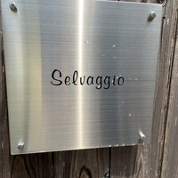 Selvaggio - 