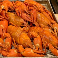 津の守坂 小柴 - 阿寒湖産ウチダザリガニ