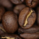 ジュピター - 料理写真:イタリアンスペシャル。