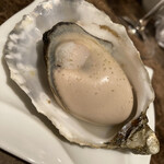 銀座で生牡蠣が美味しい専門店 牡蠣Bar - 