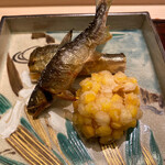 山﨑 - 鮎　由良川　天竜川