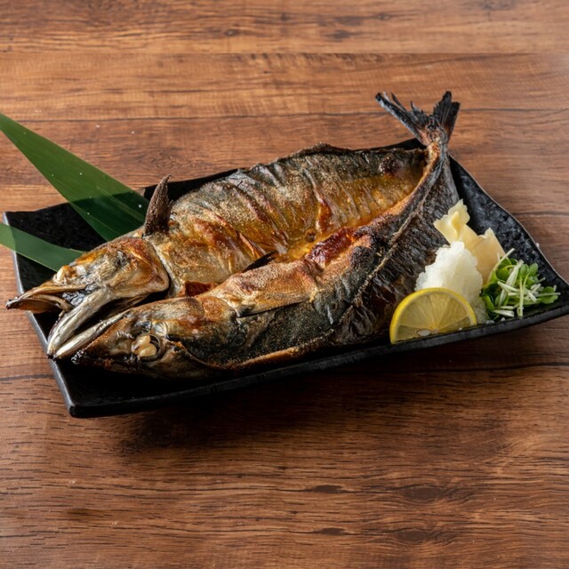 料理メニュー とろさば料理専門店 SABAR 神戸元町店 (サバー) みなと元町/居酒屋 食べログ 料理メニュー とろさば料理専門店 SABAR 神戸元町店 (サバー) みなと元町/居酒屋 食べログ