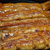 うなぎ秋本 -  うなぎ秋本 -