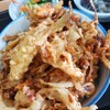 Tempura Hoshino - 