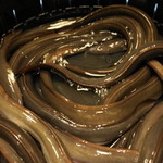 うなぎ 魚政 - 2012.6 うなぎ坂東太郎特上サイズ（5,500円のうな重になります）