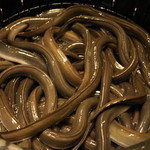 うなぎ 魚政 - 2012.6 うなぎ坂東太郎中サイズ（3,500円のうな重になります）