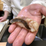 兄弟寿し - 佐渡 黒ムツ炙り(握り) 早速ボケたw