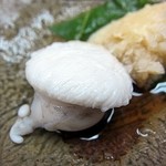 季節料理 藤原 - タコの白子