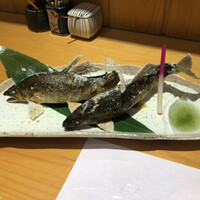 柳家錦 - 豪華！和良鮎炭火焼が2匹！！