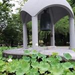 Onomichi Ra-Men Akatsuki - 平和記念公園の蓮は可憐に