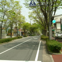 かぶらや - 付近の街並み