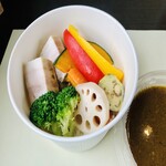 発酵スープカレー ミコヤ - ポークと野菜のスープカレー