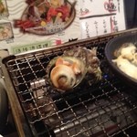 ばらっく - さざえ