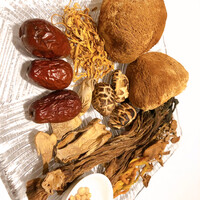 カントニーズ 燕 - 