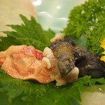 大規鮨し - 活おこぜ造り（肝、皮）