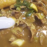 カレーうどん 鯱乃家 - 