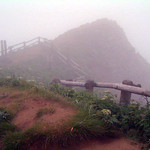 Atoi Shokudou - （参考）　霧中のゴロタ岬頂上　2003/6