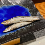 鮨匠 のむら - キビナゴ