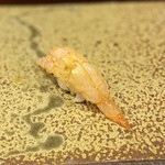 鮨匠 のむら - ナミクダヒゲエビ