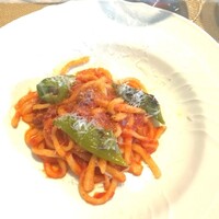 La Brianza - アマトリチャーナのシャラテッリ。さわやかも感じられるソースがモチモチの麺ととてもおいしい。本日はローマ風にまとめてますとのこと。後から考えるとセコンドのボリュームがあったからここトマト系嬉しかったわ～