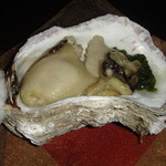 伊豆高原 城ケ崎温泉 花吹雪 - 2006年7月