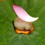 銀座 しのはら - 蓮根豆腐、ボタンエビのたたき、バフンウニ