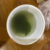 炭火焼肉 日本橋イタダキ - 