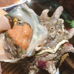 とっくりや - サザエが美味いわ！