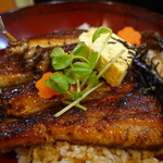 Unagi No Kawatsune - 