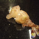 明石 渾 鮨 - ブドウ海老、尻尾が紫です