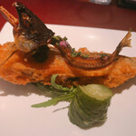 イル アオヤマ - 