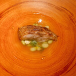 イル アオヤマ - 