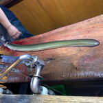 かぶと - 天然もの！！養殖とは色味が違う
      しかもこれはデカかった！