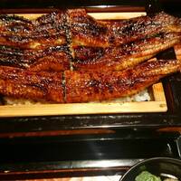 にょろ助 銀座 - 