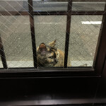 つか家 - すいません！やってますか？