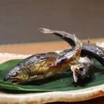 日本料理 幸庵 - 秋田の鮎塩焼きアップ