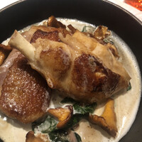 Benoit Alain Ducasse - 