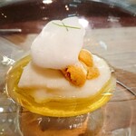 セルサルサーレ - 