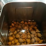 セルサルサーレ - 