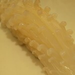 築地寿司清 - 白いか
      